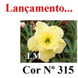 ENXERTO 6802 – 20cm (cor LM 315)