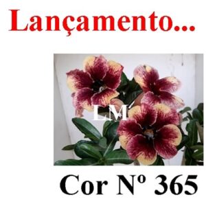 ENXERTO 6805 – 20cm (cor LM 365)