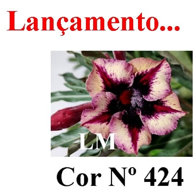 ENXERTO 6843 – 20cm (cor LM 424)