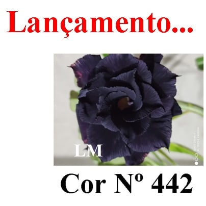 ENXERTO 6796 – 20cm (cor LM 442)