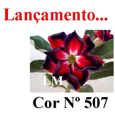 ENXERTO 6887 – 20cm (cor LM 507)