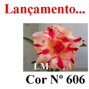 ENXERTO 6832 – 20cm (cor LM 606)