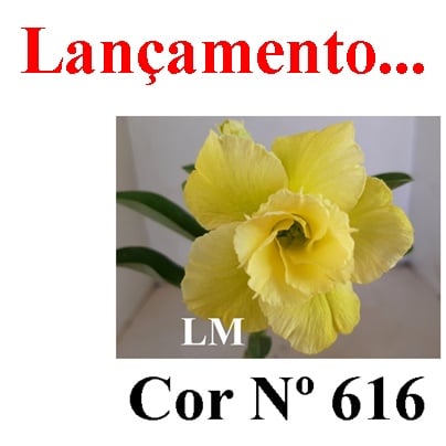 ENXERTO 6903 – 20cm (cor LM 616)