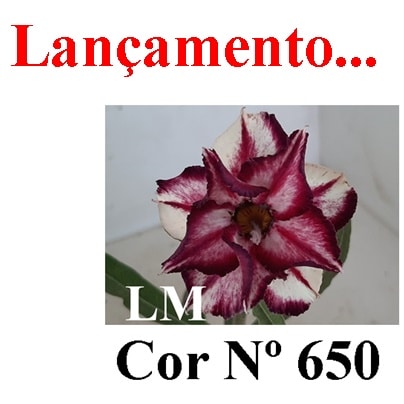 ENXERTO 6866 – 20cm (cor LM 650)