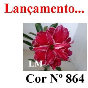 ENXERTO 6922 – 20cm (cor LM 864)