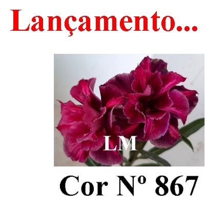 ENXERTO 7018 – 20cm (cor LM 867)