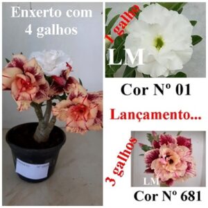 ENXERTO 6868 – 20cm (cor LM 01 e Cor LM 681)