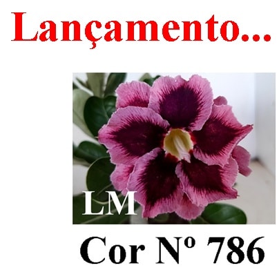 ENXERTO 7037 – 20cm (cor LM 786)