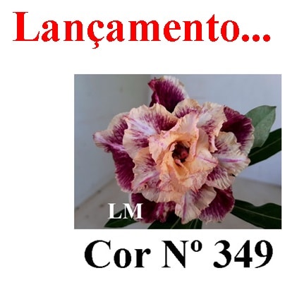 ENXERTO 6993 – 20cm (cor LM 349)