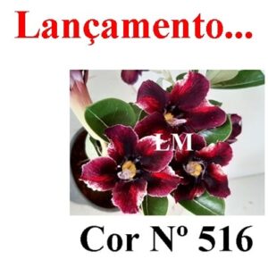 ENXERTO 7007 – 20cm (cor LM 516)