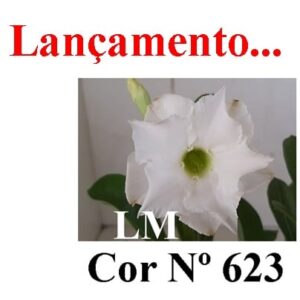 ENXERTO 6961 – 22cm (cor LM 623)