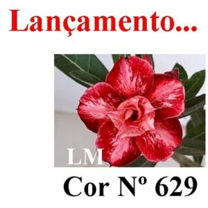 ENXERTO 6982 – 20cm (cor LM 629)