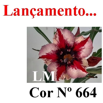 ENXERTO 7044 – 20cm (cor LM 664)