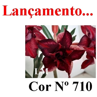 ENXERTO 7090 – 20cm (cor LM 710)