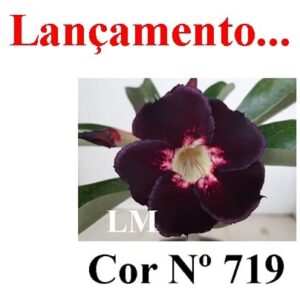 ENXERTO 7054 – 20cm (cor LM 719)
