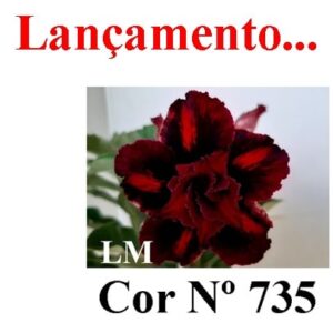 ENXERTO 7017 – 20cm (cor LM 735)