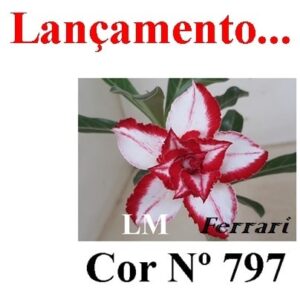 ENXERTO 7026 – 20cm (cor LM 797) Ferrari