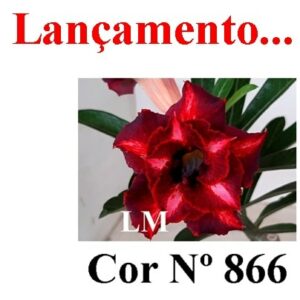 ENXERTO 6973 – 20cm (cor LM 866)