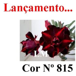 ENXERTO 7201 – 20cm (cor LM 815)