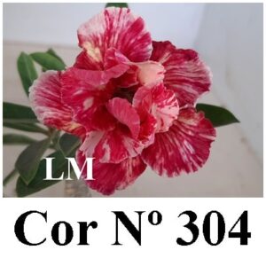 ENXERTO 7139 – 20cm (cor LM 304)