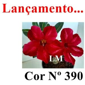 ENXERTO 7167 – 20cm (cor LM 390)