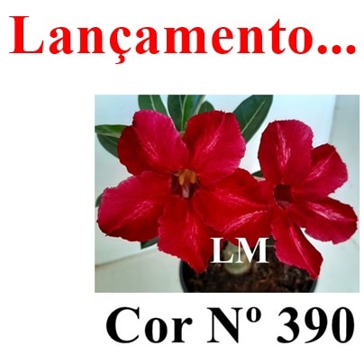 ENXERTO COR LM 390