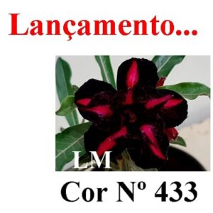 ENXERTO 7233 – 20cm (cor LM 433)