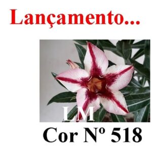 ENXERTO 7245 – 20cm (cor LM 518)