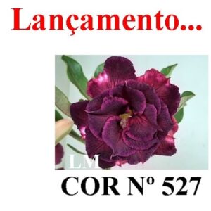 ENXERTO 7293 – 25cm (cor LM 527)