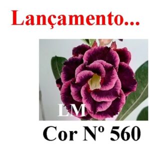ENXERTO 7141 – 22cm (cor LM 560)