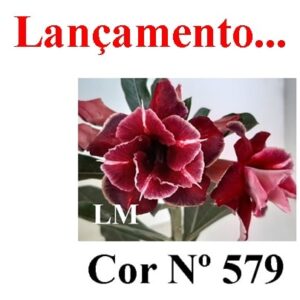 ENXERTO 7172 – 20cm (cor LM 579)