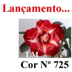 ENXERTO 7274 – 20cm (cor LM 725)