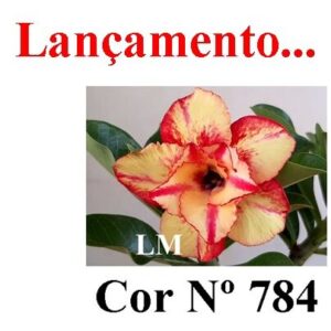 ENXERTO COR LM 784