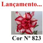 ENXERTO COR LM 823