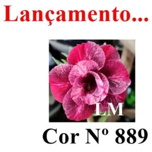 ENXERTO 7100 – 20cm (cor LM 889)