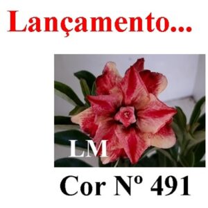 ENXERTO 7495 – 22cm (cor LM 491)