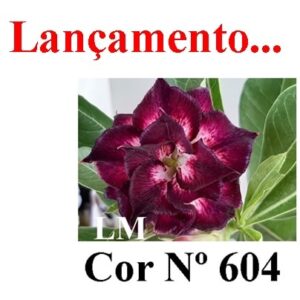 ENXERTO 7458 – 20cm (cor LM 604)