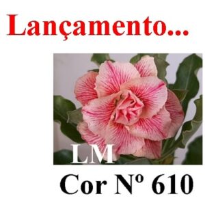 ENXERTO 7457 – 20cm (cor LM 610)