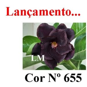 ENXERTO 7397 – 20cm (Cor LM 655)