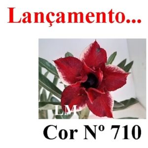 ENXERTO 7496 – 20cm (cor LM 710)