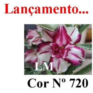 ENXERTO 7337 – 25cm (Cor LM 720)