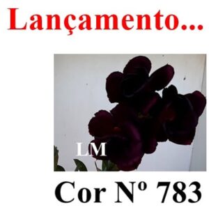 ENXERTO 7454 – 20cm (cor LM 783)