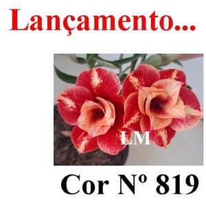 ENXERTO 7492 – 20cm (cor LM 819)