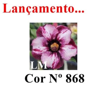 ENXERTO 7389 – 22cm (Cor LM 868)