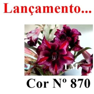 ENXERTO 7462 – 22cm (cor LM 870)