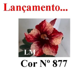 ENXERTO 7470 – 20cm (Cor LM 877)