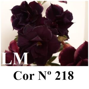 ENXERTO 7685 – 20cm (cor LM 218)
