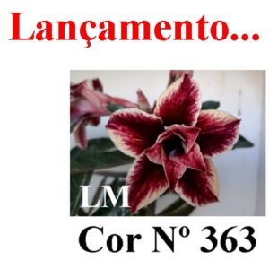 ENXERTO 7777 – 20cm (cor LM 363)