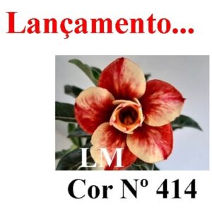 ENXERTO 7660 – 20cm (cor LM 414)