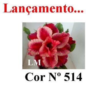 ENXERTO 7662 – 20cm (cor LM 514)